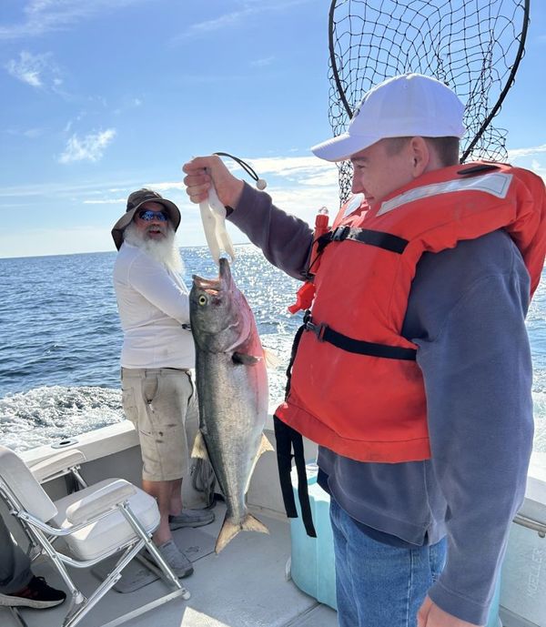 Grey Dolphin Sportfishing Charters