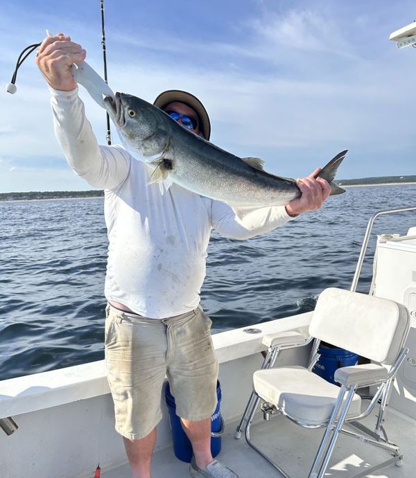Grey Dolphin Sportfishing Charters