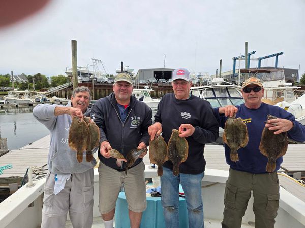 Grey Dolphin Sportfishing Charters