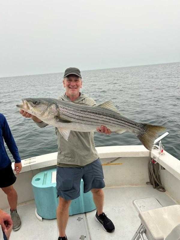 Grey Dolphin Sportfishing Charters