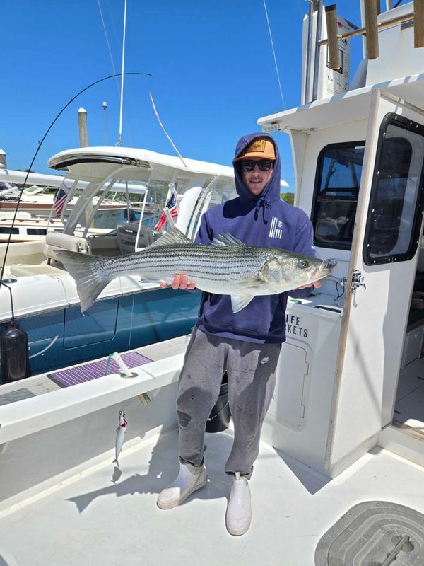 Grey Dolphin Sportfishing Charters