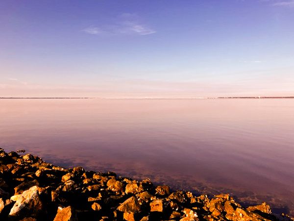 Redemption Fishing Co.