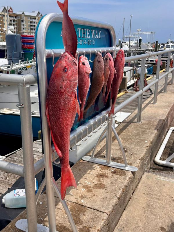 All The Way Charters
