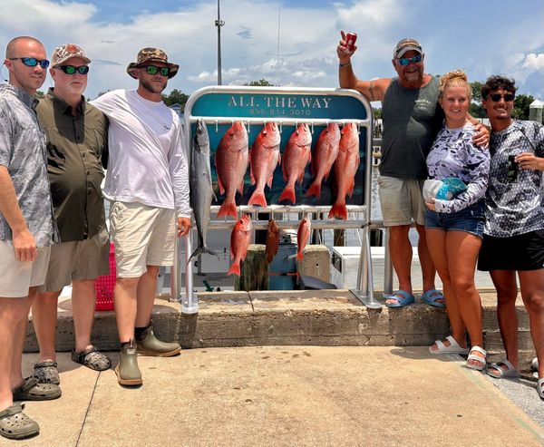 All The Way Charters