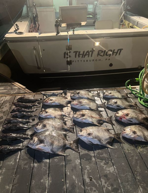Is That Right Sport Fishing