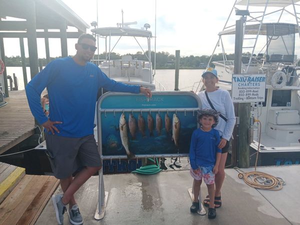 Dauphins Charter Fishing