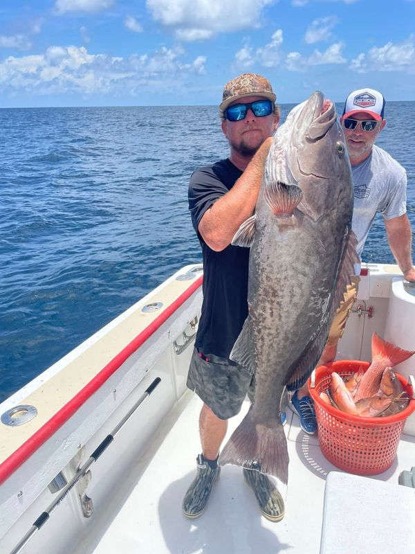 Dauphins Charter Fishing