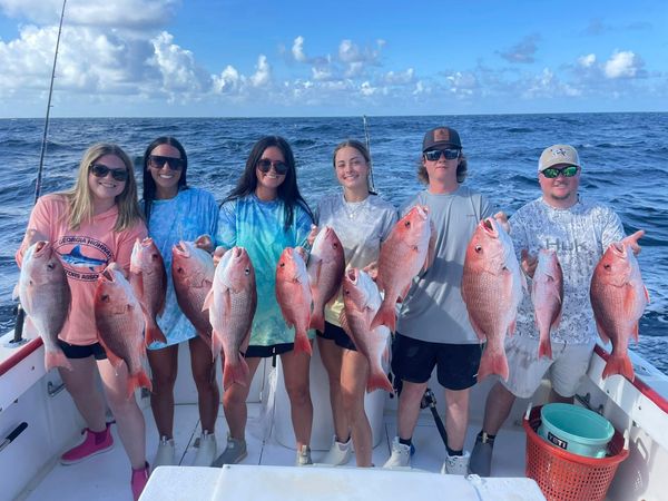 Dauphins Charter Fishing