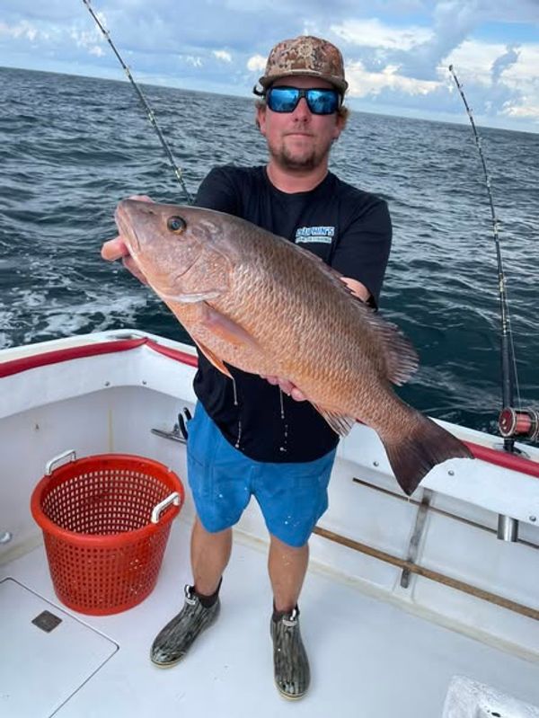 Dauphins Charter Fishing