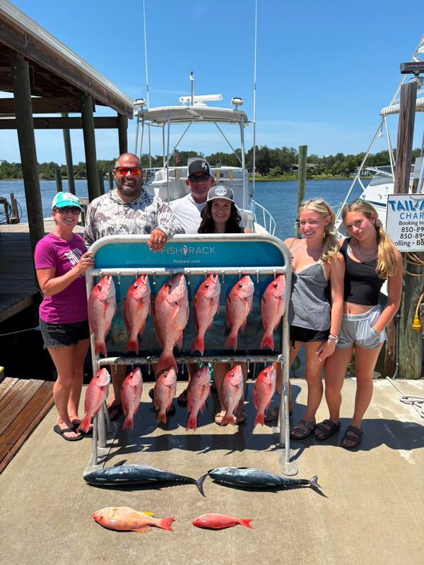 Dauphins Charter Fishing