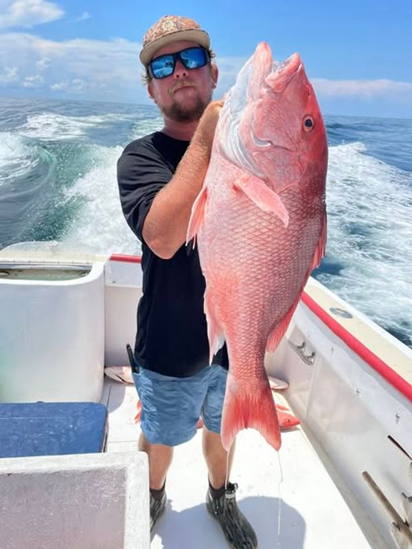 Dauphins Charter Fishing