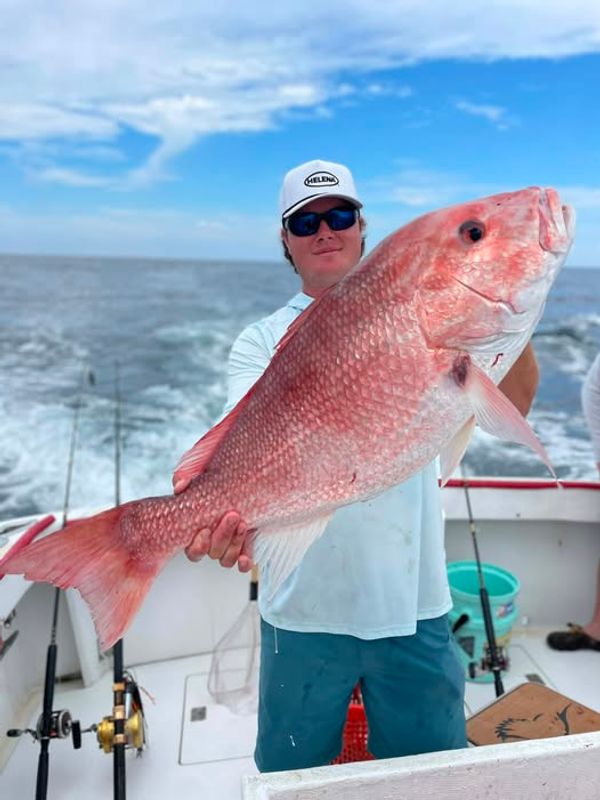 Dauphins Charter Fishing