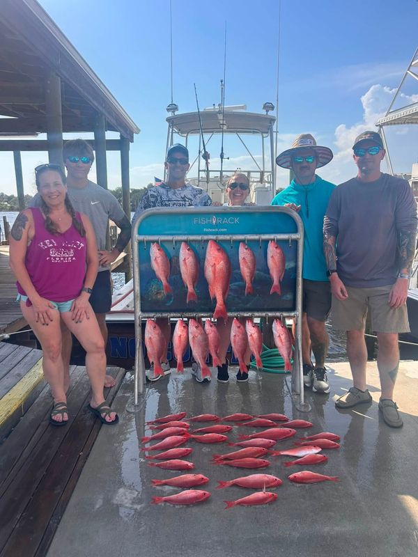 Dauphins Charter Fishing