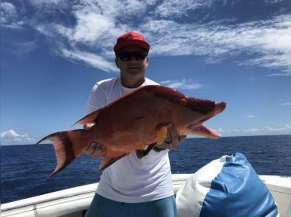 ProWire Marine-Fishing & Spearfish