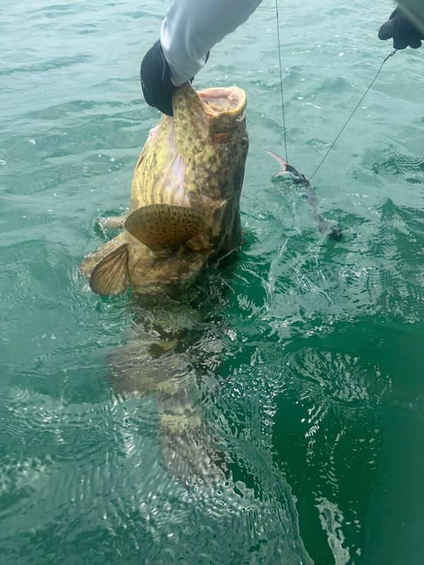 Trophy Time Charters and More