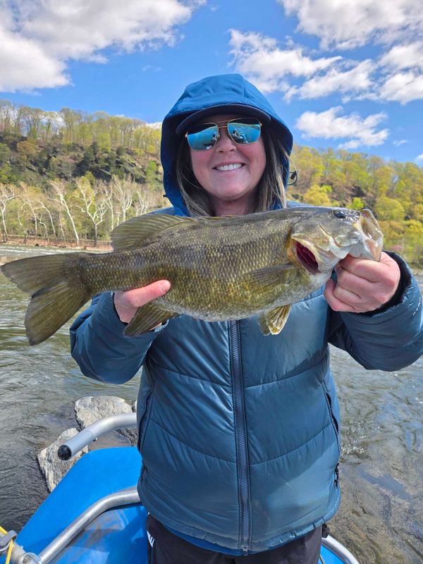 King Fisher Guide Services