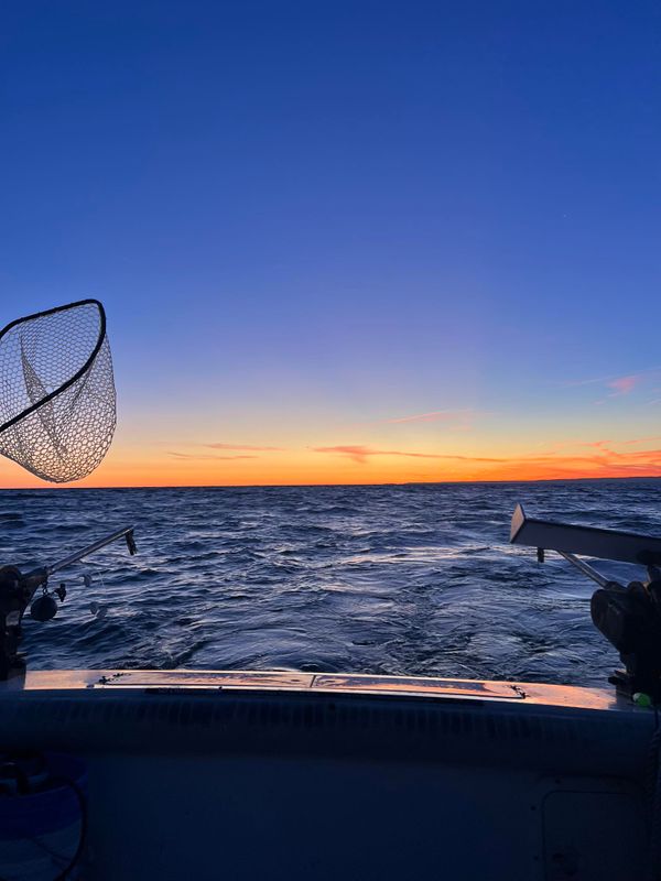 Dog's Life Sport Fishing