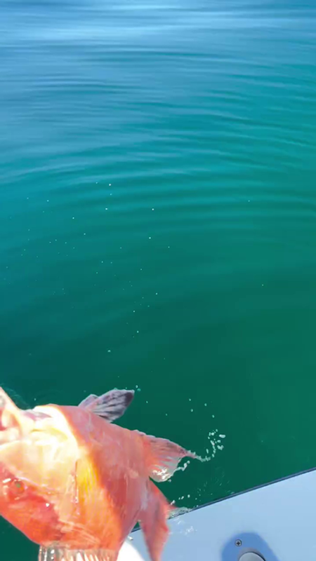 Island Time Family Charters