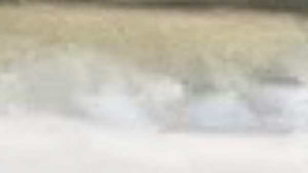 Linda Lee Sportfishing