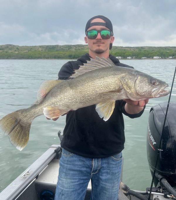 Gunnin Dakota Guide Service