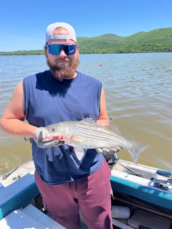 Finhooker Charters