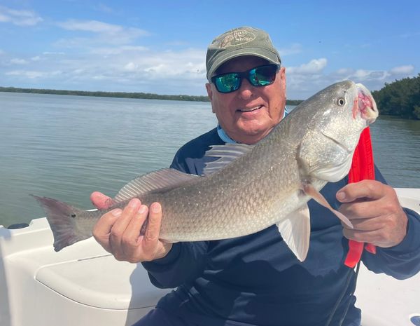 Key Largo Back Country Fishing