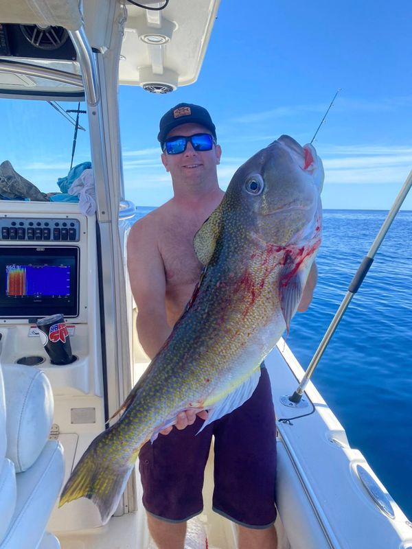 Philly Hooker Fishing Charter