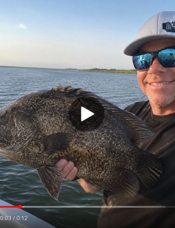 Marsh monster charters