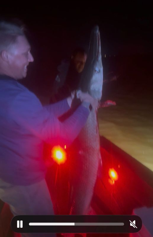 Marsh monster charters