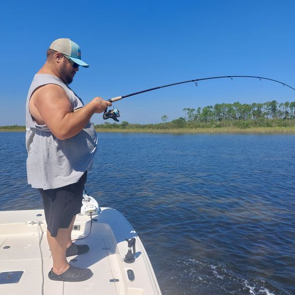 PierBred Charters