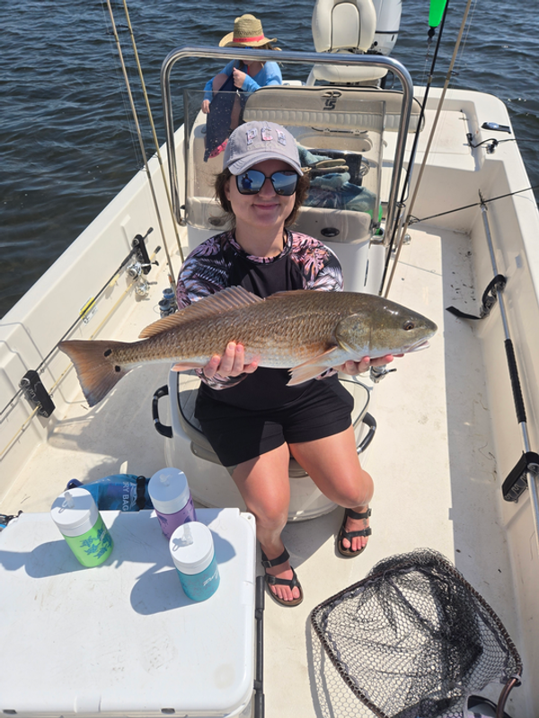 PierBred Charters