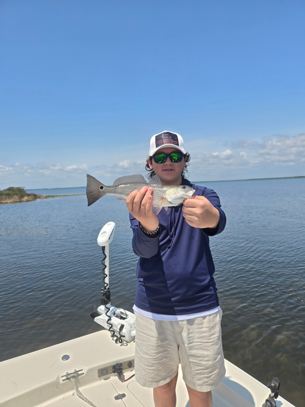 PierBred Charters