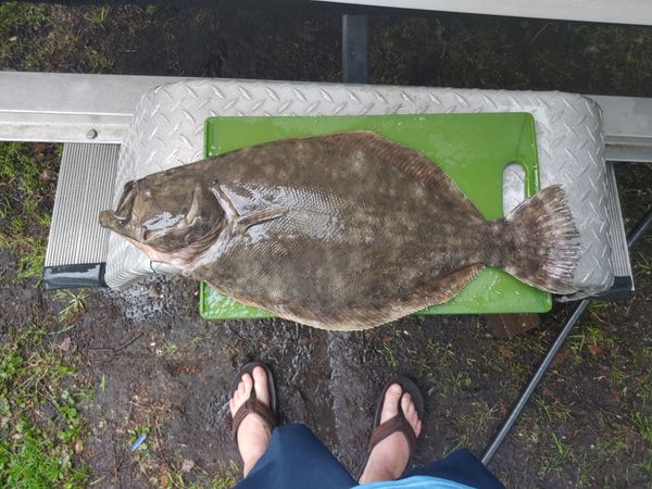 Charlestowne Coastal Charters