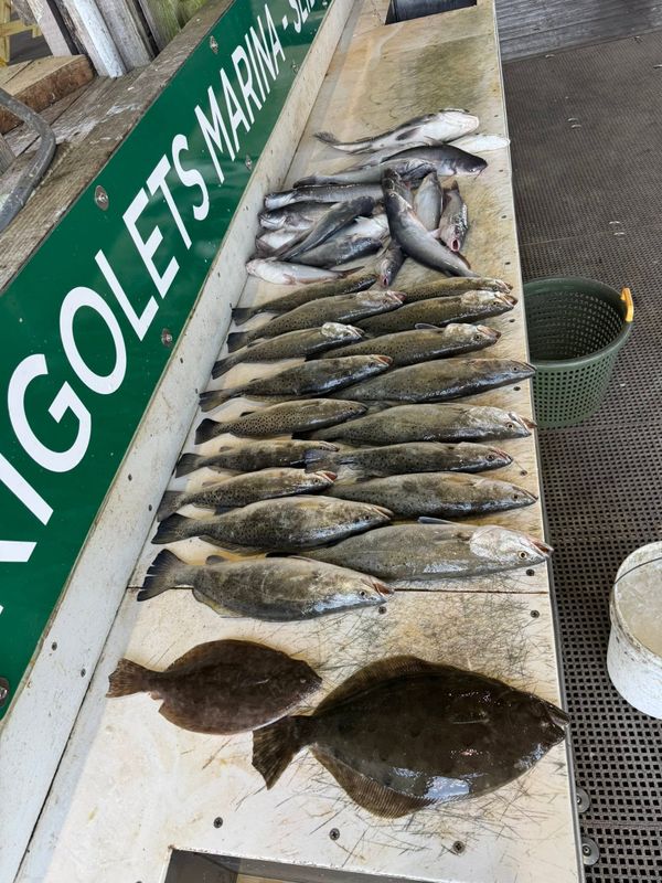 Full Spectrum Fishing Charters