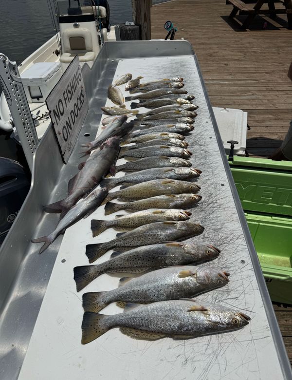 Full Spectrum Fishing Charters