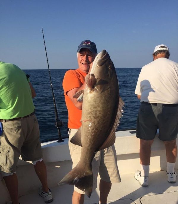 Stick Marsh Charters