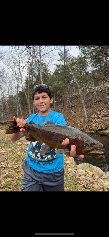 Three Rivers Trout Guide Service