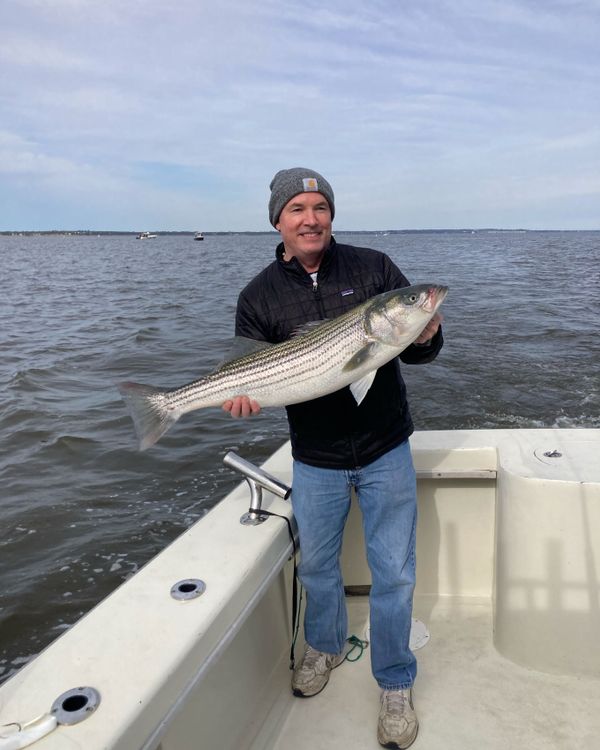 Warden Sportfishing Charters LLC
