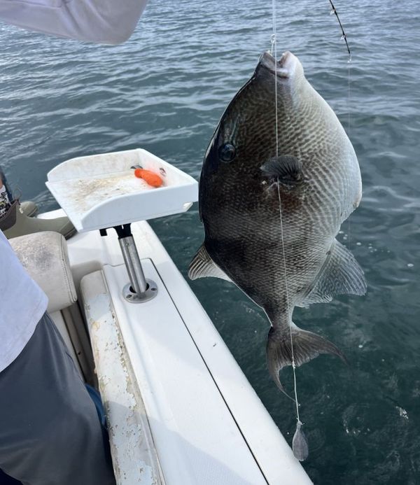 No Limit Charter And Guide Service