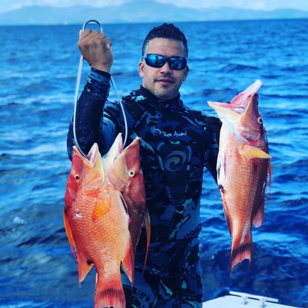 Caribbean Reef Charters