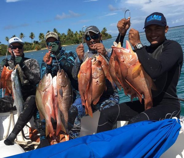 Caribbean Reef Charters
