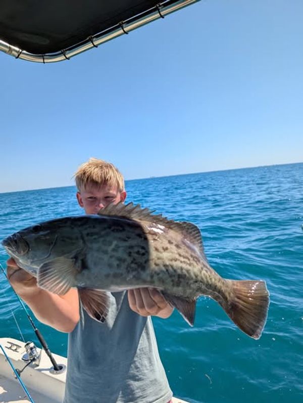 Deep Color Fishing