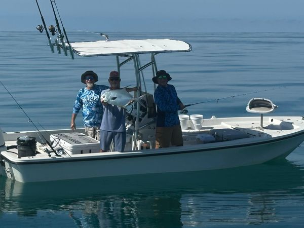 Deep Color Fishing