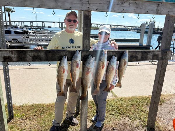 'The Fish' Guide Service