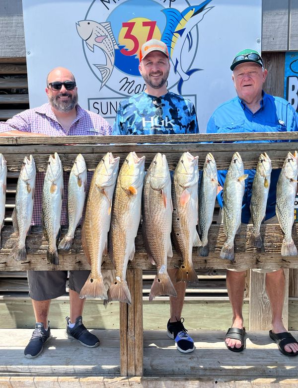 'The Fish' Guide Service