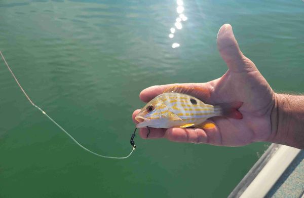 Salty Day Fishing Charters