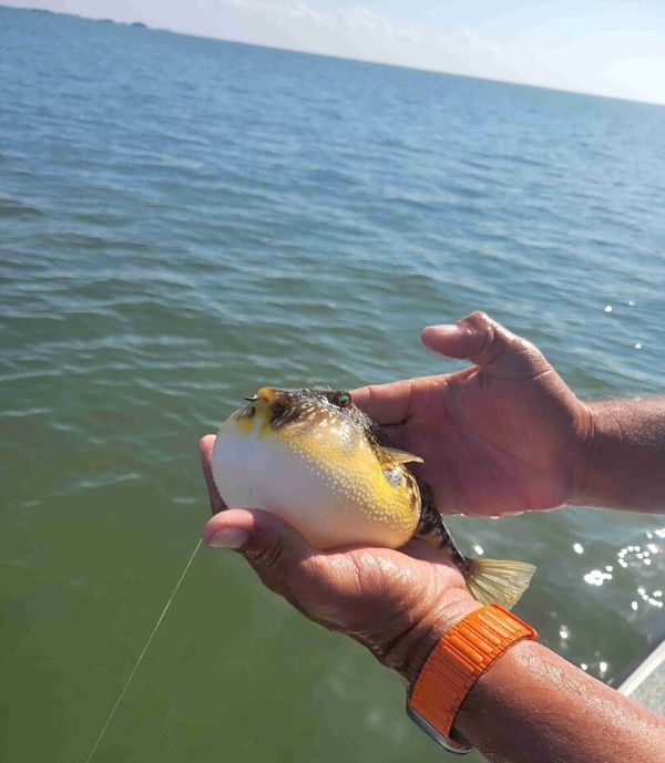 Salty Day Fishing Charters