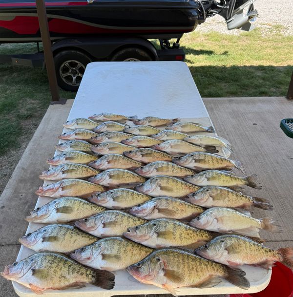 TJ Fishing Co & Guide Service LLC