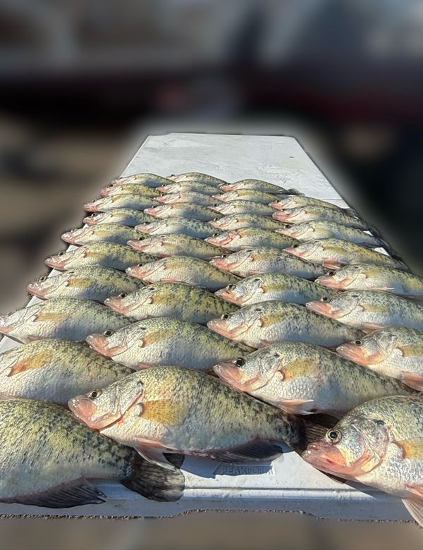 TJ Fishing Co & Guide Service LLC