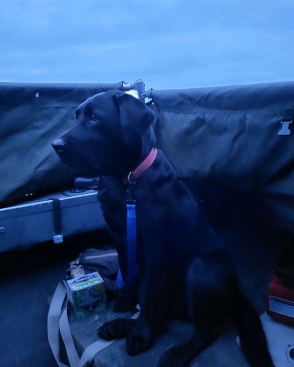 Captain Nate’s Guide Service